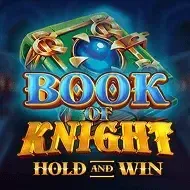 Book of Knight Hold and WinFelixgaming screenshot